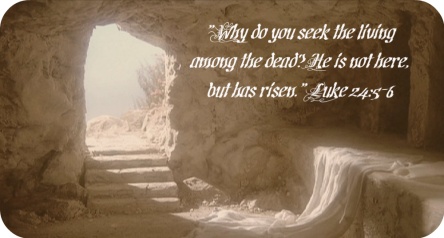 Jesus - has risen (Luke)